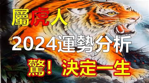 屬虎今年運勢|西元2024屬虎生肖流年運勢!民國113年肖虎生人制喪門。